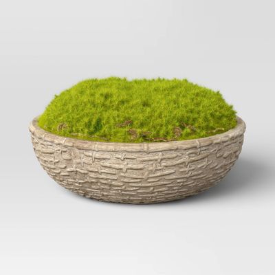 3.5 Artificial Moss in Textured Pot Green - Threshold designed with Studio McGee