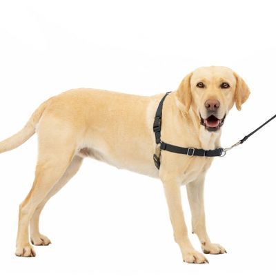 PetSafe Easy Walk Adjustable Dog Harness - L