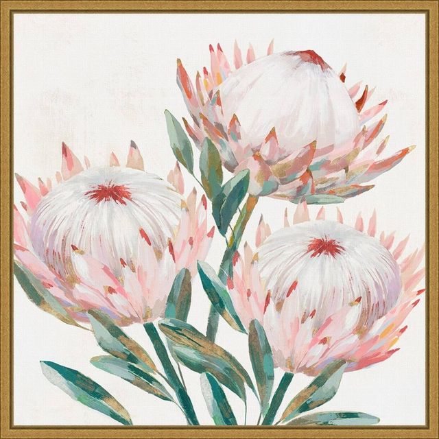 Amanti Art 16 x 16 King Protea II by Isabelle Z Framed Canvas Wall Art  Amanti Art Connecticut Post Mall