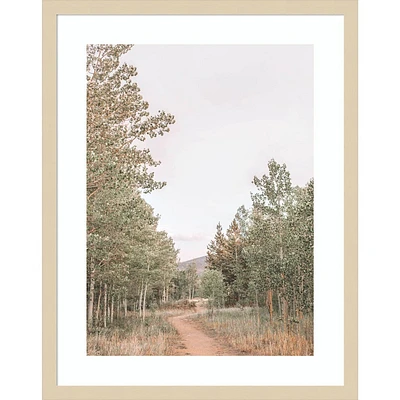 Amanti Art  Winding Path by Alicia Abla: Giclee Print, Hardwood Frame, Wire Mount