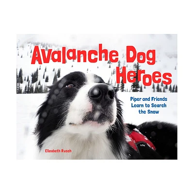 Avalanche Dog Heroes - by Elizabeth Rusch (Hardcover)