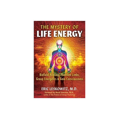 The Mystery of Life Energy - by Eric Leskowitz (Paperback)