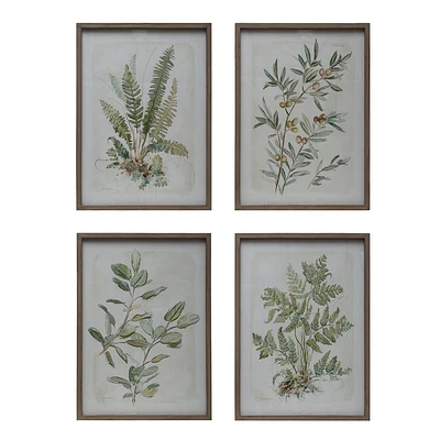 Storied Home: 4-Piece Vertical Botanical Framed Art, Modern Decor, D Ring Mount