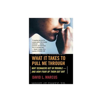 What It Takes to Pull Me Through - by David L Marcus (Paperback)