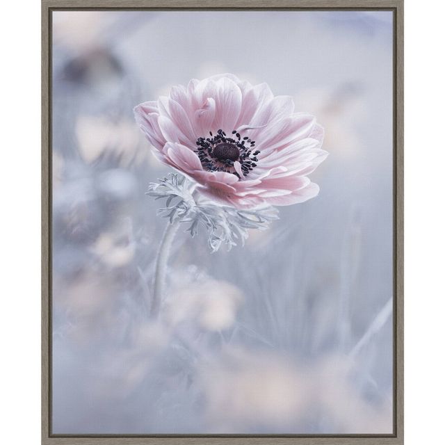 16 x 20 La Reine De Neiges Flower by Fabien Bravin Framed Canvas Wall Art - Amanti Art: Modern Botanical Lithograph, Polystyrene Frame