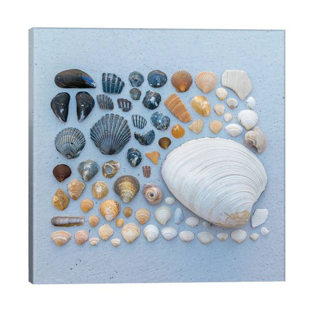 Sally Sells Sea Shells and I Bought Em by Alex Tonetti Unframed Wall Canvas