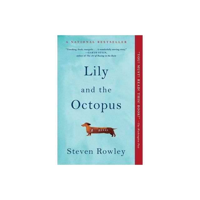 Lily and the Octopus - by Steven Rowley (Paperback)