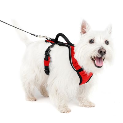 PetSafe EasySport Adjustable Dog Harness - S