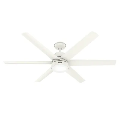 60 Skysail Indoor/Outdoor Ceiling Fan with Light Kit and Wall Control (Includes LED Light Bulb