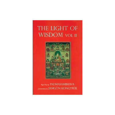 Light of Wisdom, Volume II - by Marcia Binder Schmidt (Paperback)