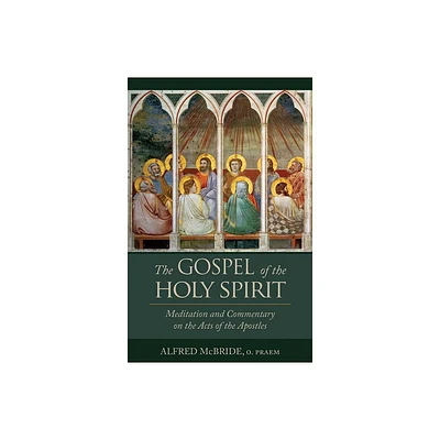 The Gospel of the Holy Spirit - by Alfred McBride (Paperback)