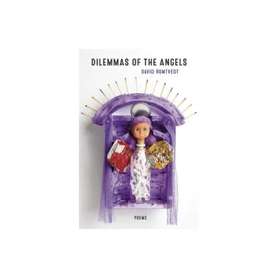 Dilemmas of the Angels - by David Romtvedt (Paperback)