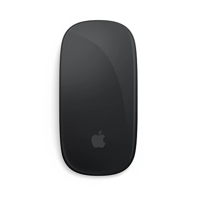 Apple Magic Mouse - Black Multi - Touch Surface