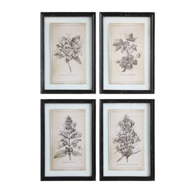 15.7x22.7 (Set of 4) Designs Wood Framed Decorative Wall Art: Botanical Paintings - Storied Home