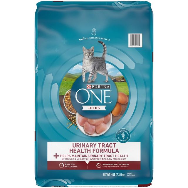 target cat food purina