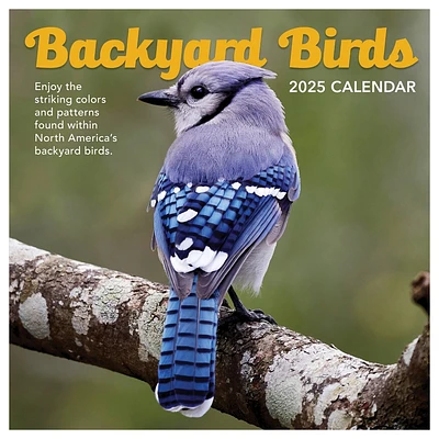 TF Publishing 2025 Wall Calendar 12x12 Backyard Birds