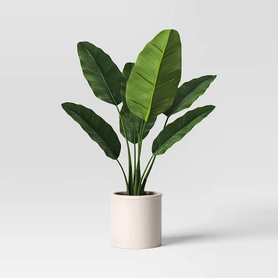 Large Banana Leaf Potted Plant - Threshold