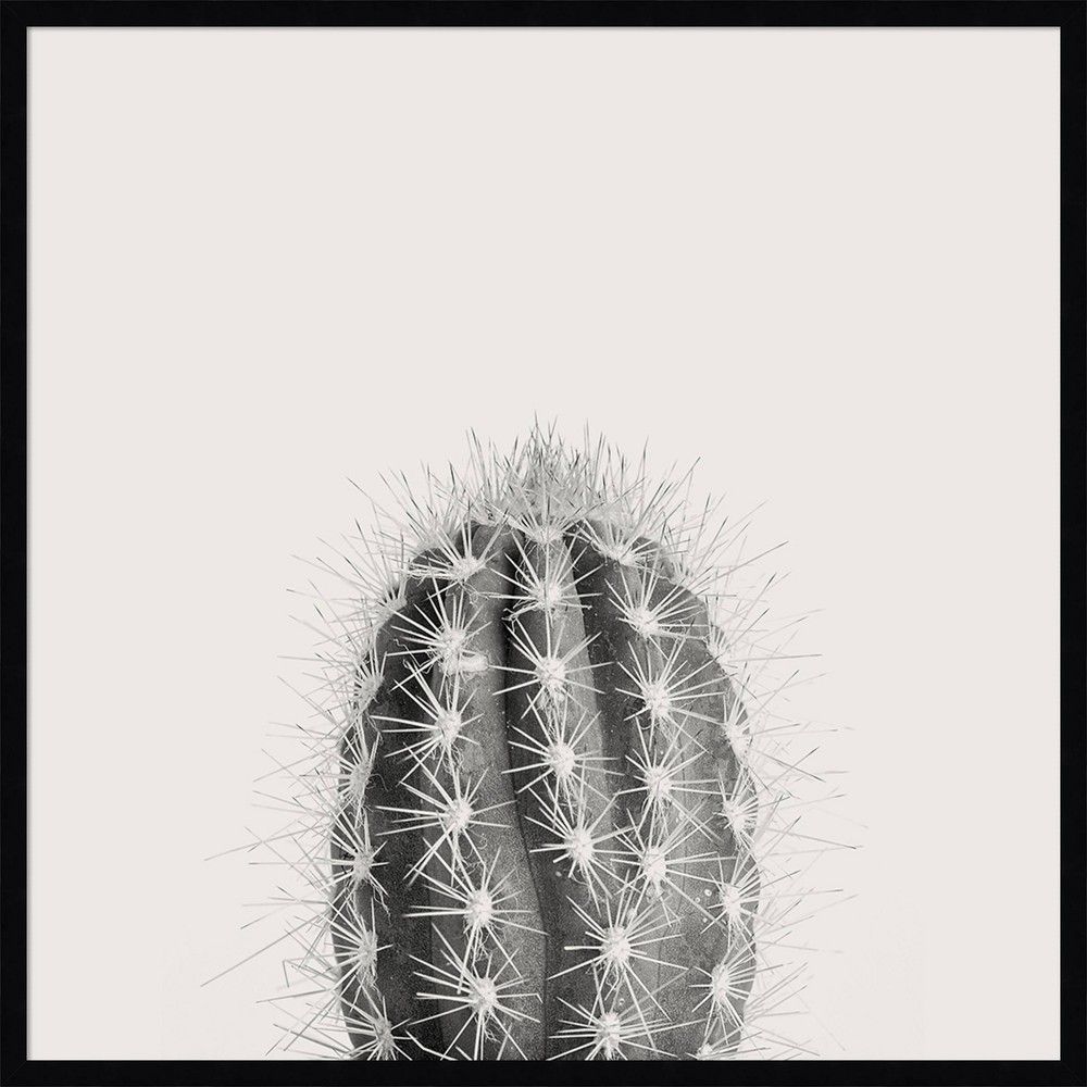 Amanti Art 33 x 33 Haze Cactus Succulent Tall by The Creative Bunch Studio  Framed Wall Art Print Black - Amanti Art | Connecticut Post Mall