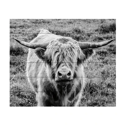 Trademark Fine Art 18x22 Nathan Larson Highland Cow Staring Contest Crop Wood Slat Art: Modern Animal Wall Decor for Bedroom