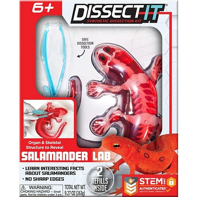 Dissect It Salamander Lab