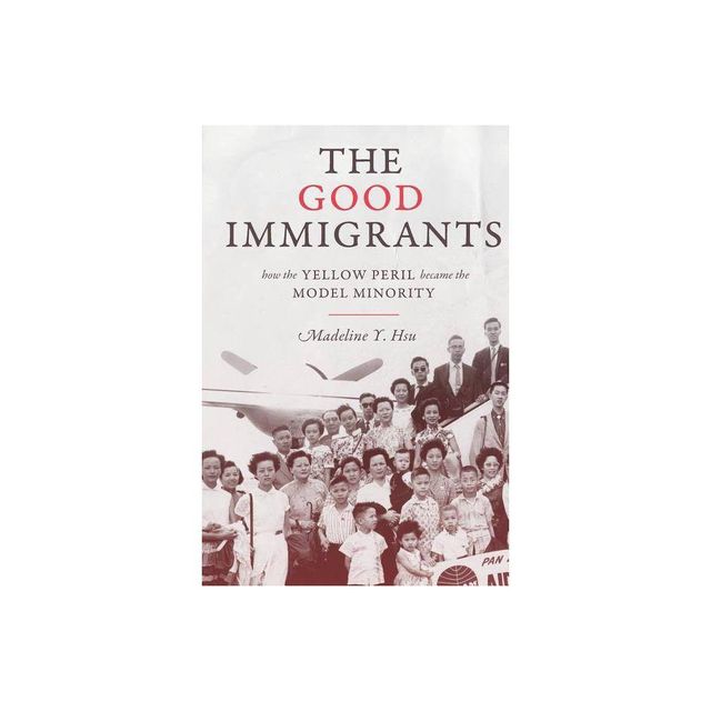 The Good Immigrants - (Politics and Society in Modern America) by Madeline Y Hsu (Paperback)