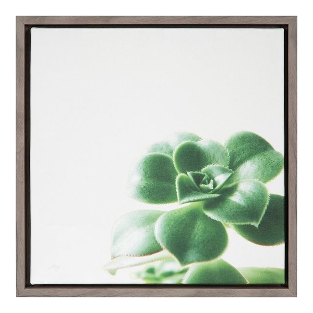 16 x 16 Succulent Simplicity VIII Neutral Framed Canvas Wall Art - Amanti Art: Modern Botanical Decor, Polystyrene Frame