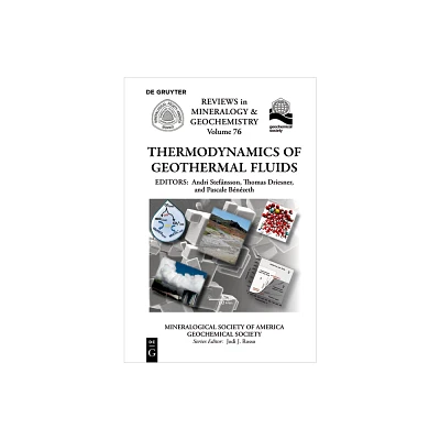 Thermodynamics of Geothermal Fluids - (Reviews in Mineralogy & Geochemistry) by Andri Stefnsson & Thomas Driesner & Pascale Bnzeth (Paperback)