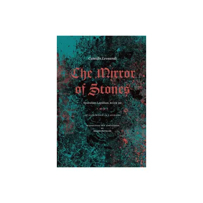 The Mirror of Stones - by Camillo Leonardi (Hardcover)