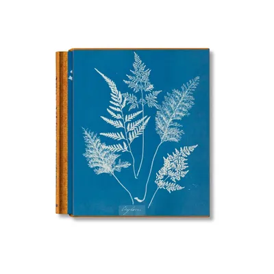 Anna Atkins. Cyanotypes - by Peter Walther (Hardcover)