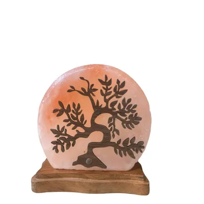 Serenity Himalayan Salt USB Novelty Table Lamp Pink - Q&A Himalayan Salt