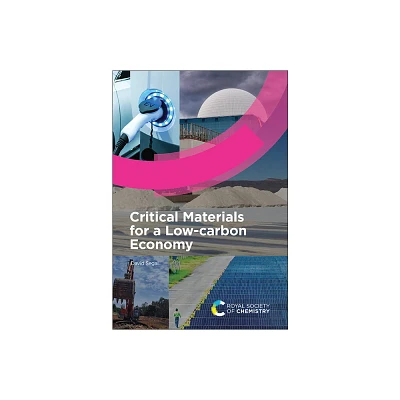 Critical Materials for a Low-Carbon Economy - by David Segal (Hardcover)