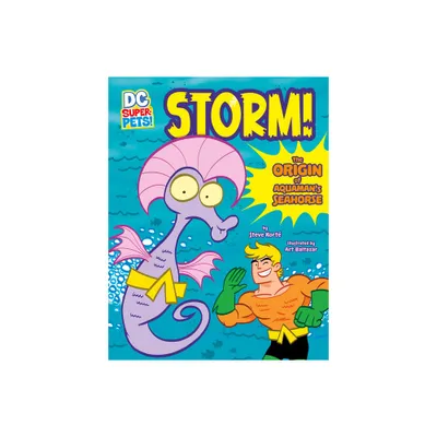 Storm! - (DC Super-Pets Origin Stories) by Steve Kort (Paperback)