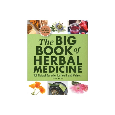 The Big Book of Herbal Medicine - by Tina Sams (Paperback)