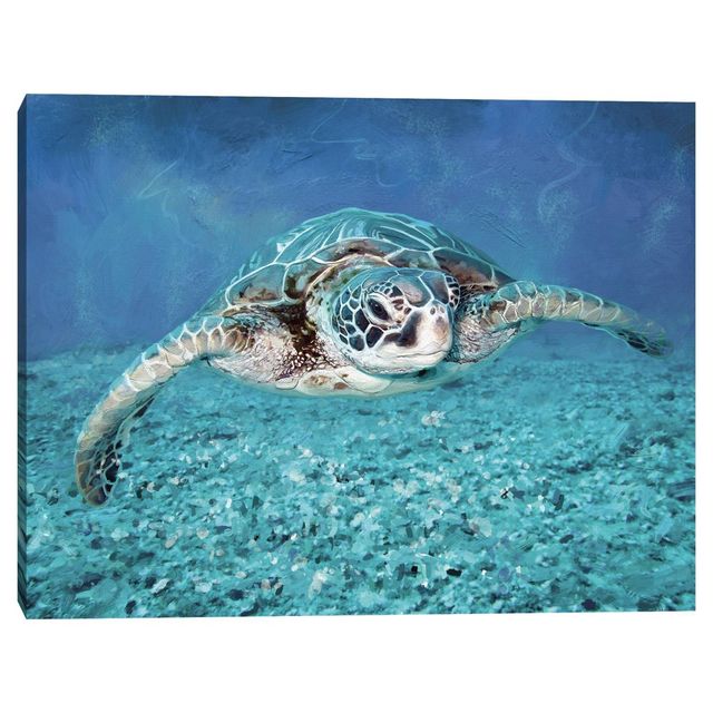 22 x 28 Sea Turtle by Studio Arts Unframed Wall Canvas - Masterpiece Art Gallery: Coastal Decor, Marine Life Print, Ready to Hang