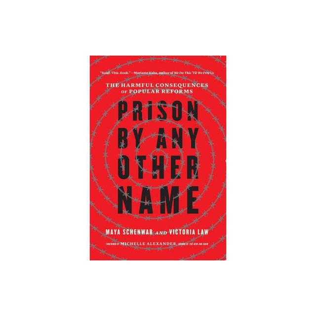 Prison by Any Other Name - by Maya Schenwar & Victoria Law (Paperback)