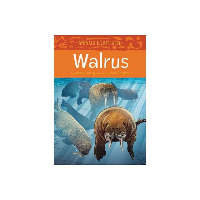 Animals Illustrated: Walrus - by Herve Paniaq (Hardcover)