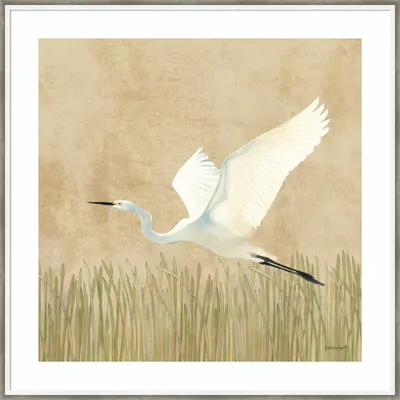 33 x 33 Egret Alighting II by Kathrine Lovell Wood Framed Wall Art Print - Amanti Art: Traditional Style, Animal Lithograph, Hardwood Frame