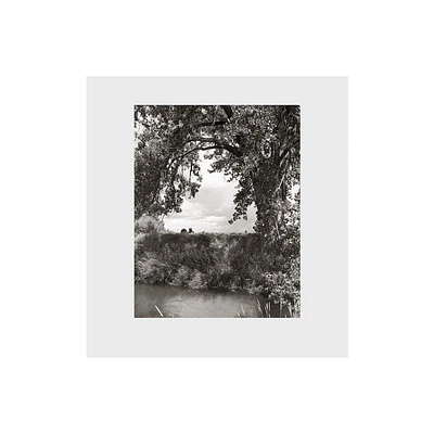 Robert Adams: Cottonwoods - by Joshua Chuang (Hardcover)