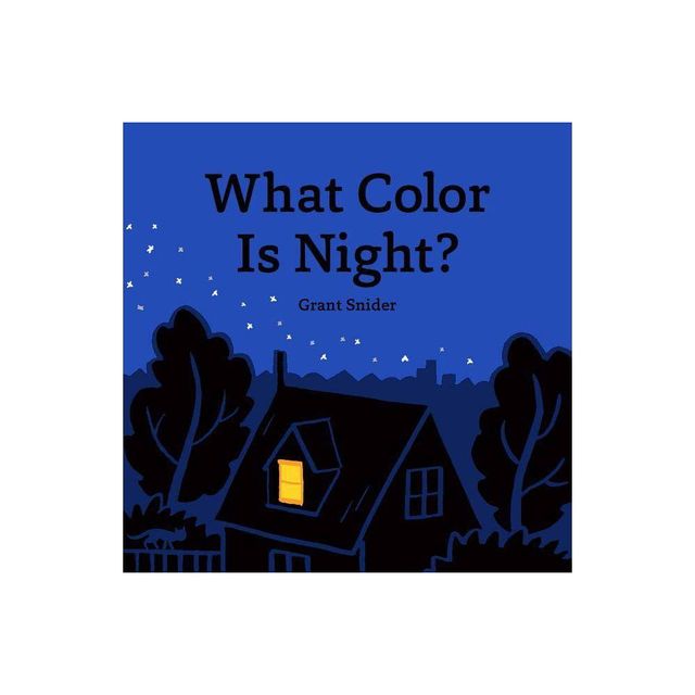 What Color Is Night? - by Grant Snider (Hardcover)