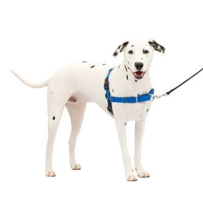 PetSafe Easy Walk Adjustable Dog Harness - M/L