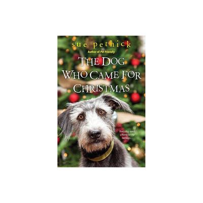 The Dog Who Came for Christmas - by Sue Pethick (Paperback)