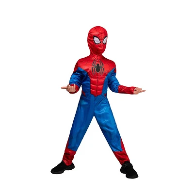 arvel Youth Spider-an Halloween Costume