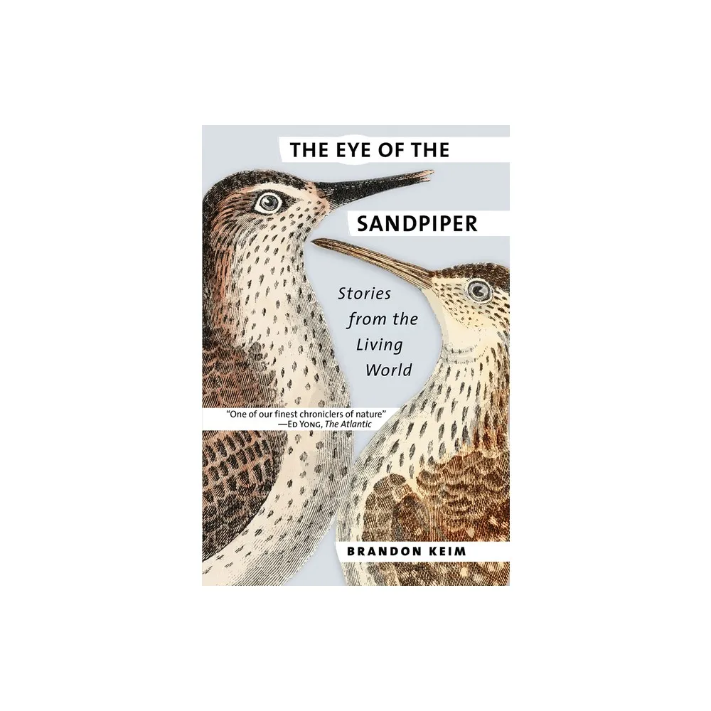 The Eye of the Sandpiper - by Brandon Keim (Paperback)