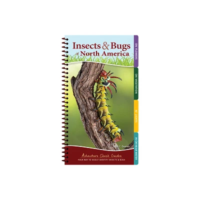 Insects & Bugs of North America - (Adventure Quick Guides) by Jaret C Daniels (Spiral Bound)