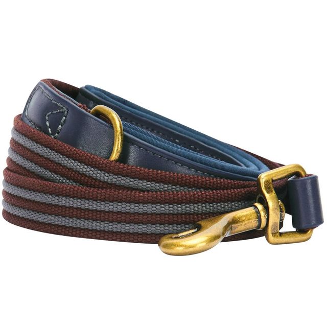 Blueberry Pet Polyester and Leather Dog Leash - 4ft x 1