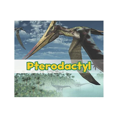 Pterodactyl - (All about Dinosaurs) by Daniel Nunn (Paperback)