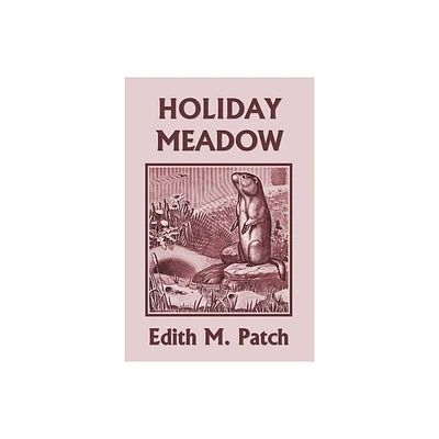 Holiday Meadow (Yesterdays Classics) - by Edith M Patch (Paperback)