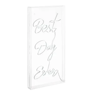 11.7 x 23.6 Best Day Ever Contemporary Glam Acrylic Box USB LED Neon - JONATHAN Y: Modern Decor, Integrated Bulb