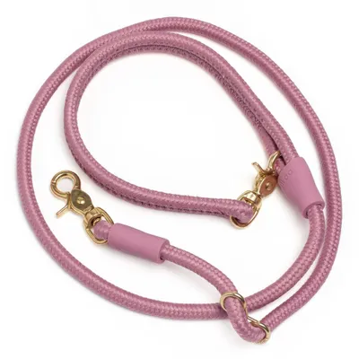 Pink Papyrus Drew Dog Collar - L : Target