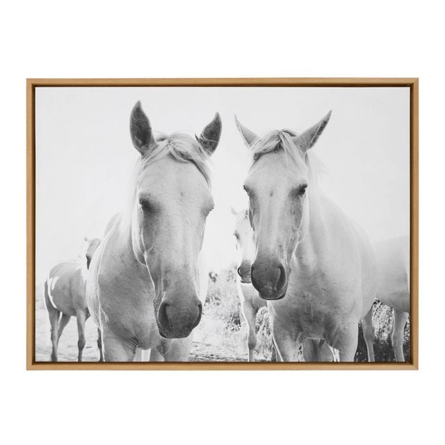 Kate  Laurel All Things Decor 28 x 38 Sylvie Camargue Horse XVII BW Framed  Canvas by Laura Evans Natural Kate  Laurel All Things Decor  Connecticut Post Mall